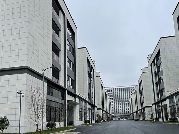 1653623157625660.jpg gs.jpg